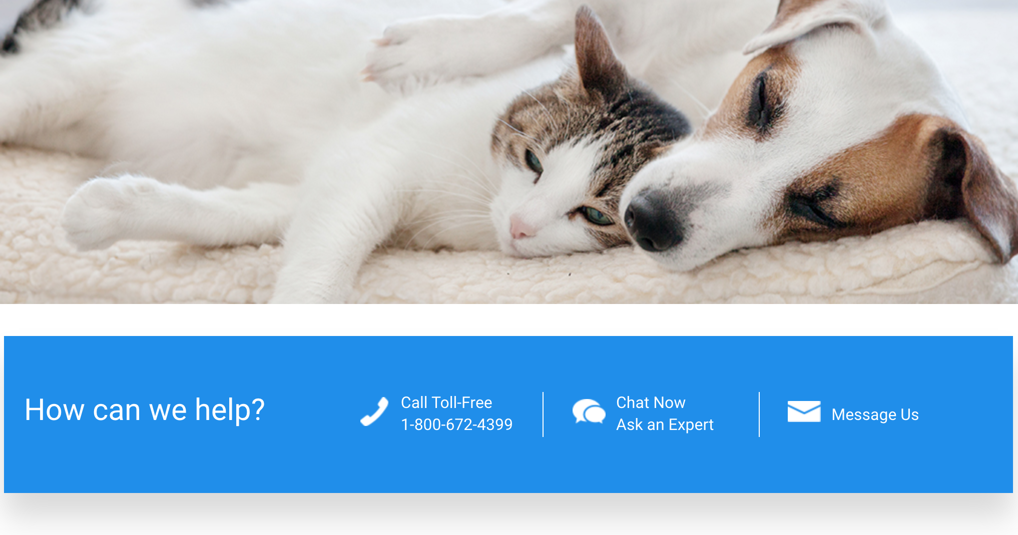 I may or may not have included this pic from Chewys site because of the cute cats and dogs