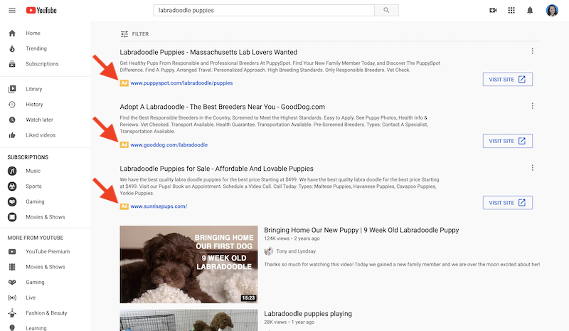 best ways to promote your business youtube advertising