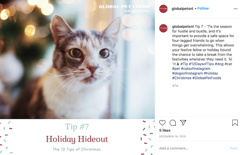 december marketing ideas - 12 days of tips