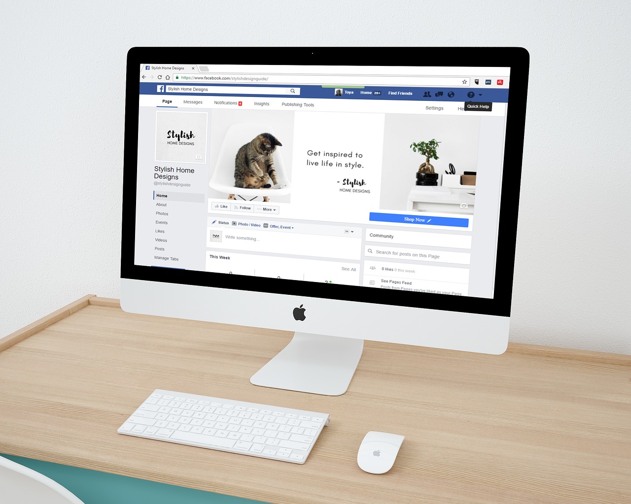 a Facebook profile