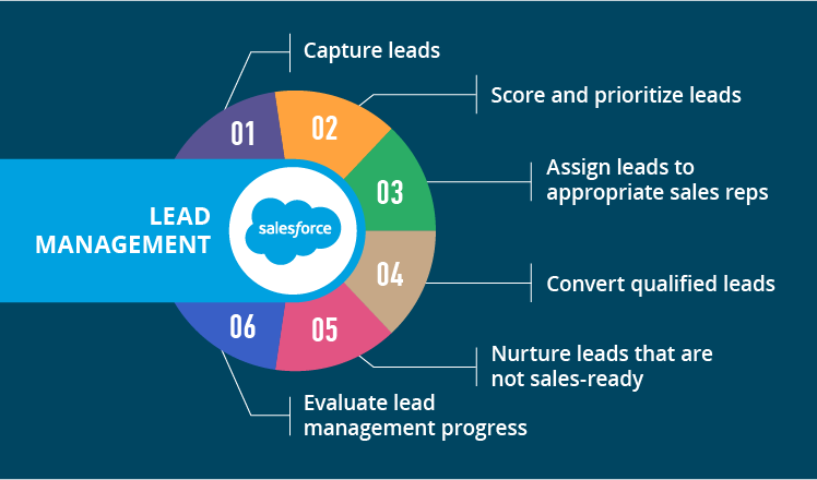 lead management overview
