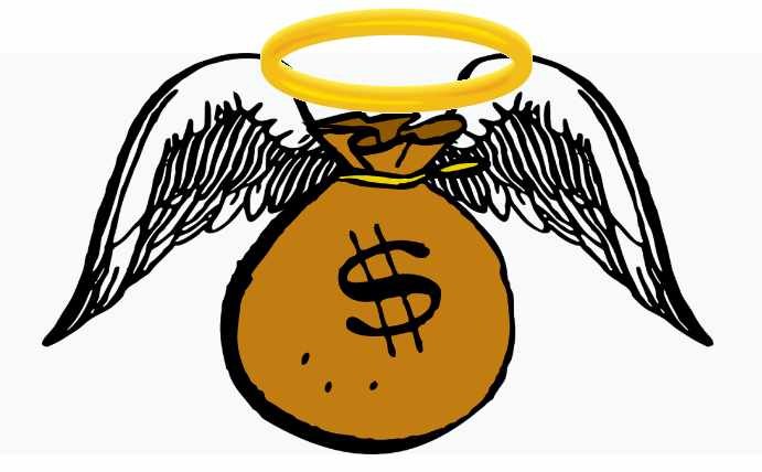 Angel Investor