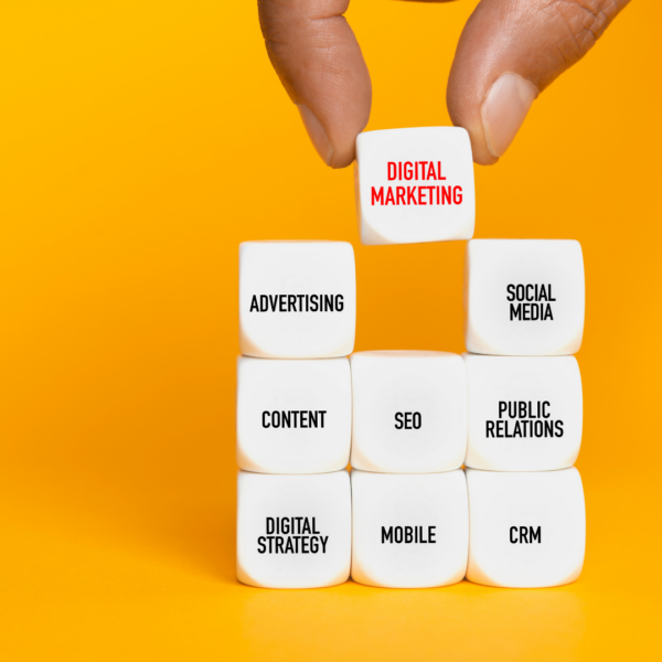 What are the 5 d's of digital marketing