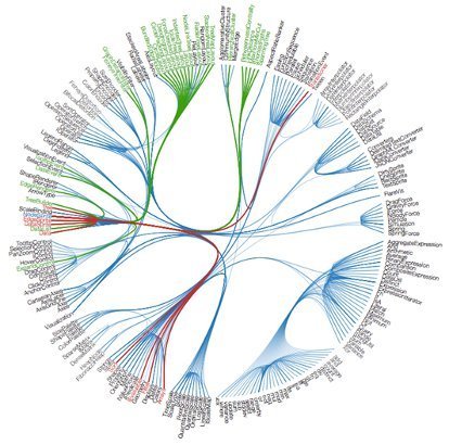 big data, big insights
