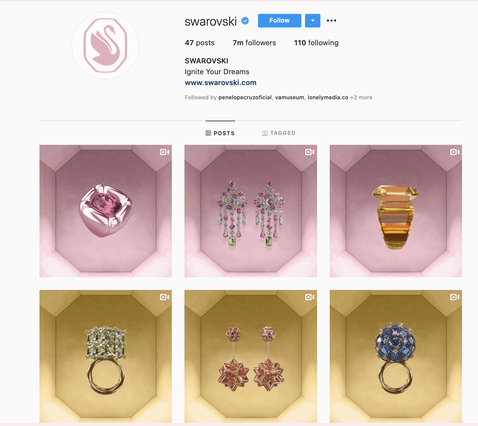 Brand aesthetics used to attract more followers on Instagram.