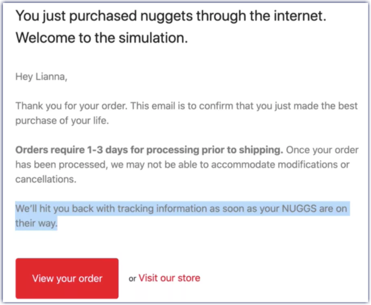 Nuggs order confirmation email. "... This email is to confirm that you just made the best purchase of your life... Well hit you back..."