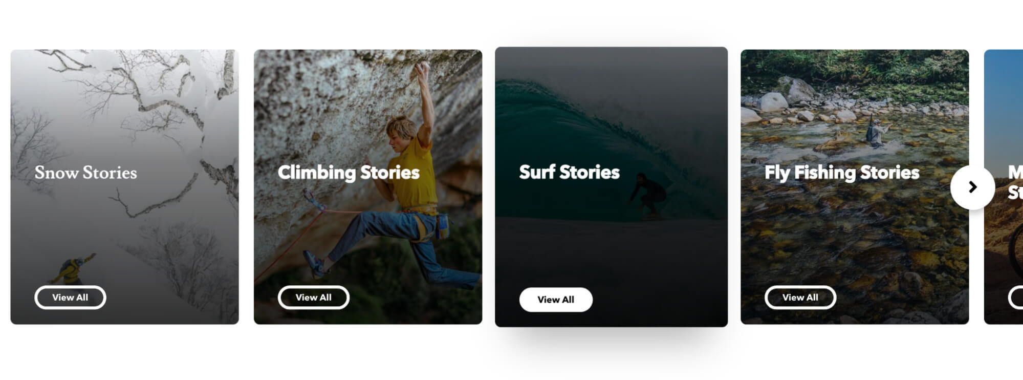 Patagonias audience categories