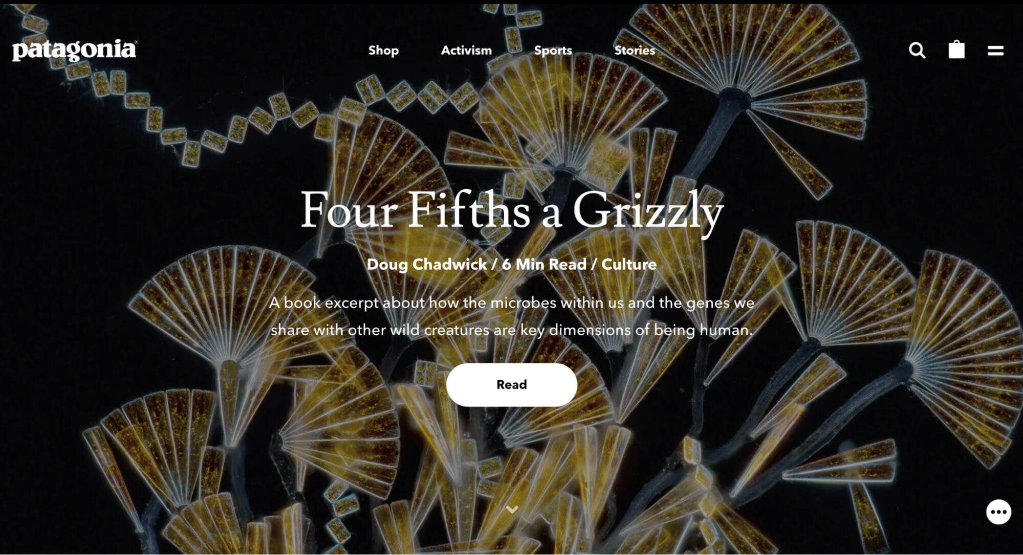 Patagonias "Four Fifths a Grizzly" campaign
