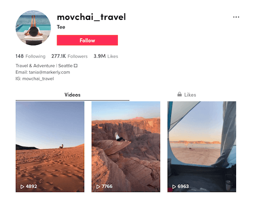 example of social media optimization—link in tiktok bio