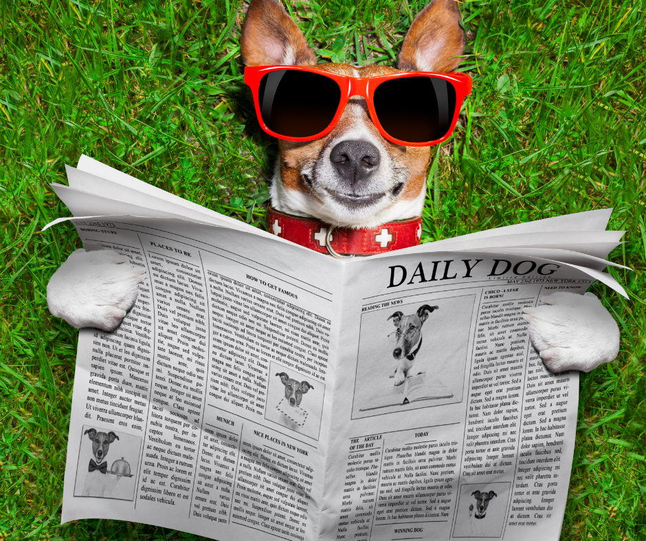 email marketing headlines
