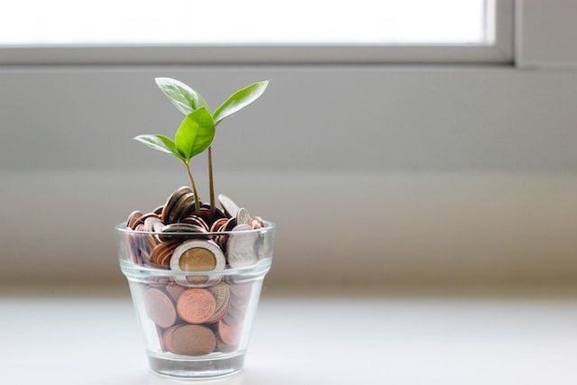 financial management