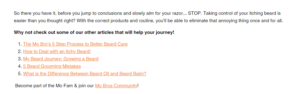 Mo Bros blog post CTAs
