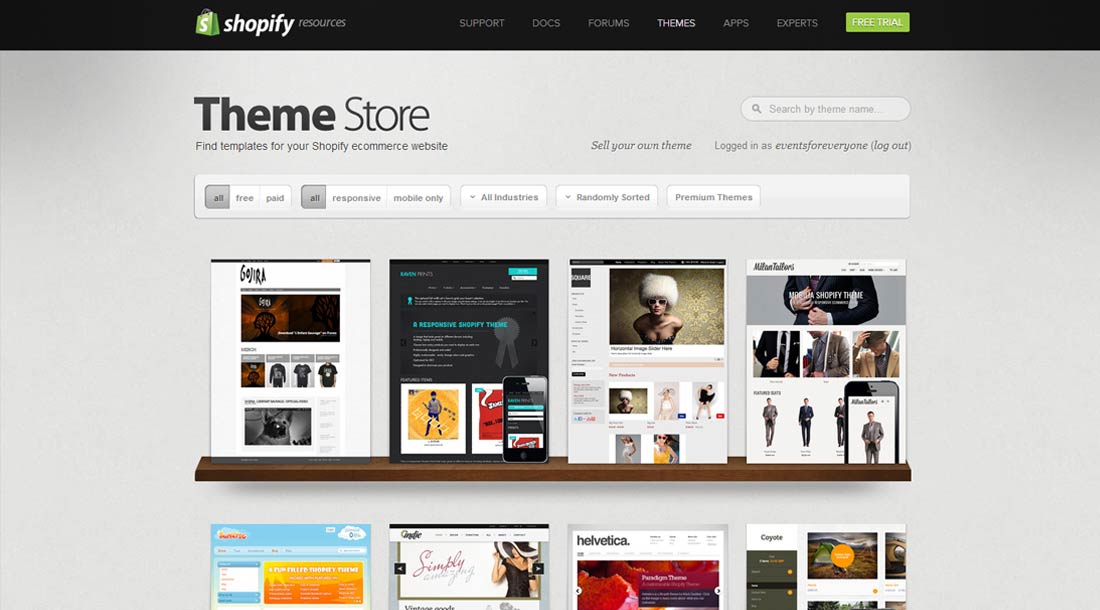 shopify theme