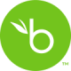 bamboohr logo
