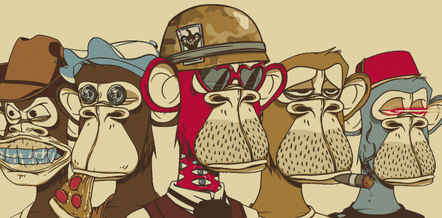 bored ape yacht club