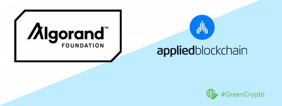 Algorand Promotion