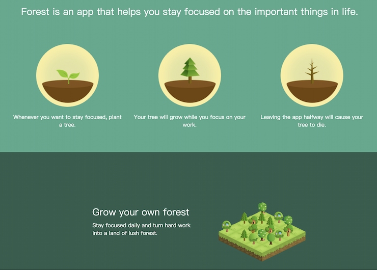 Forest is the Best for Overall Productivity Enhancement