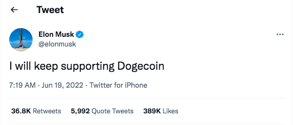 Elon Musk dogecoin tweet