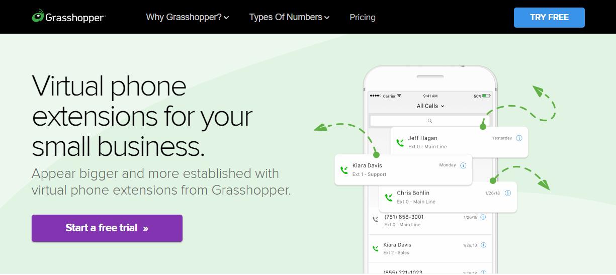 Grasshopper perfect for individual entrepreneurs