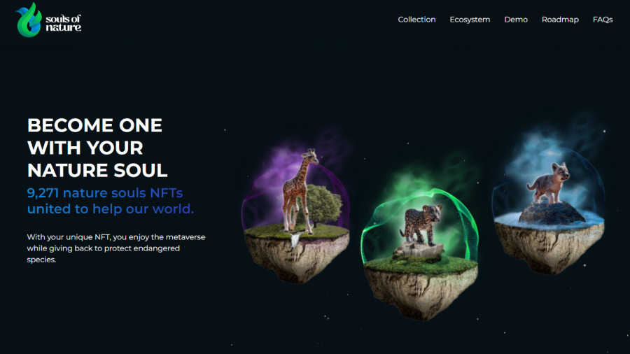 best utility NFT - Souls of nature