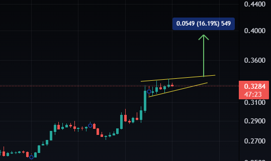 Fantom Crypto Bull Flag Formation
