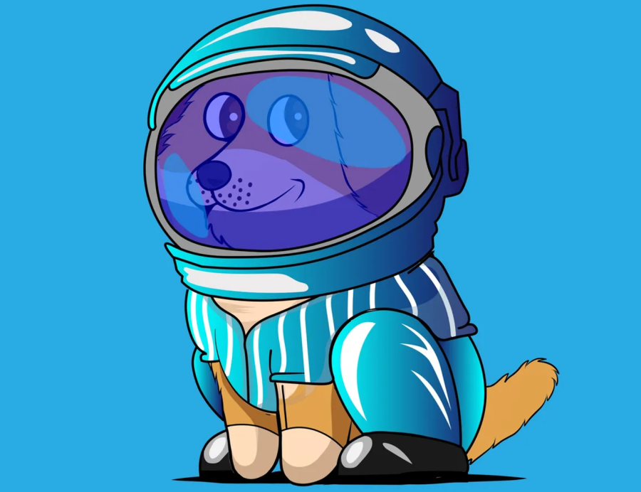 Teddy Doge