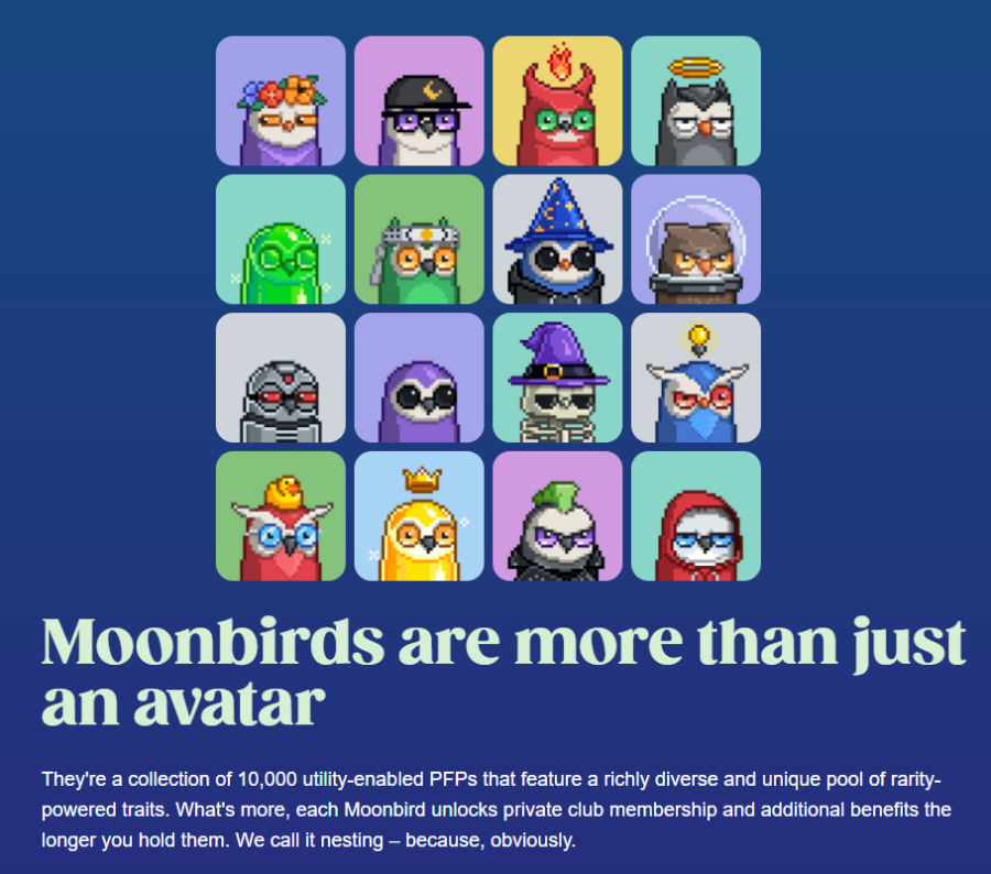 moonbirds site