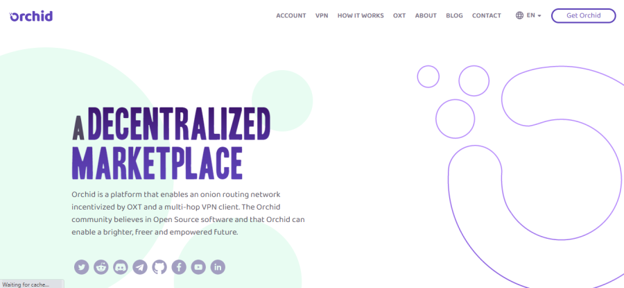 what is orchid
