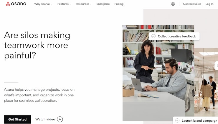 Asana is an outstanding platform for visual project plan