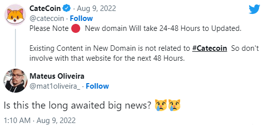CateCoin scam news
