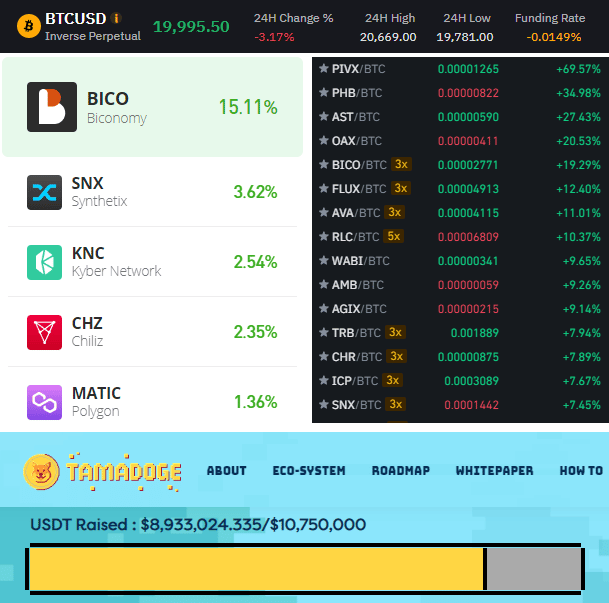 Best Cryptos to Buy on the Dip in the August Crypto Crash
