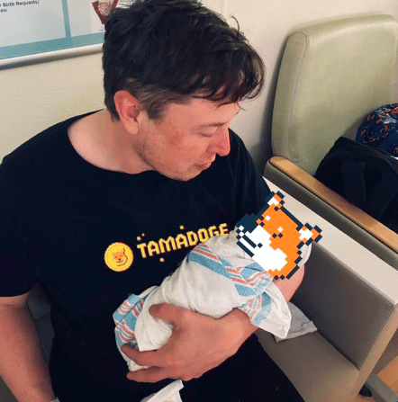Tamadoge Elon Musk Crypto