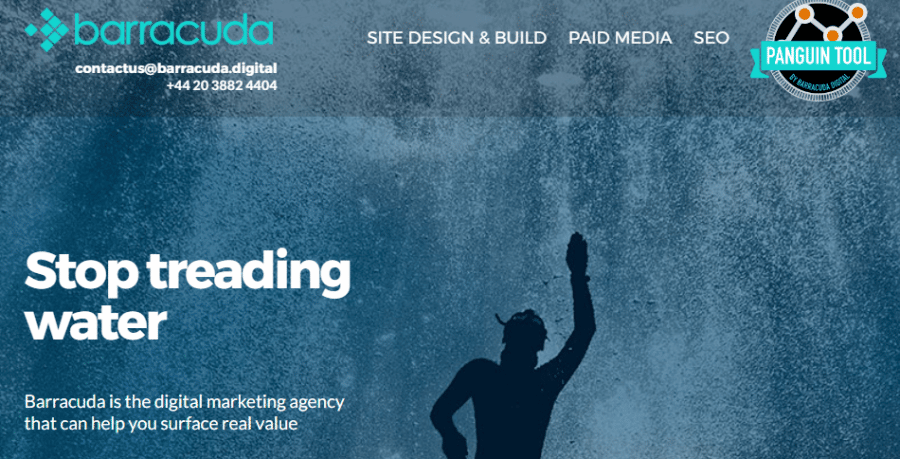 Barracuda Digital