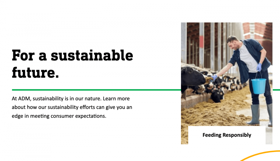 ADM sustainability