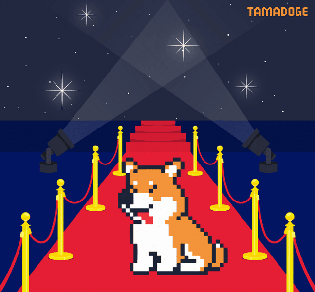 New crypto coin Tamadoge might explode