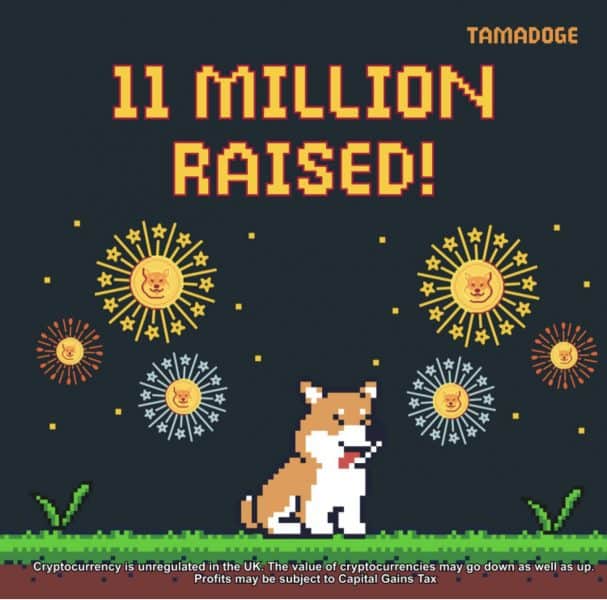 tamadoge 11 million rasied