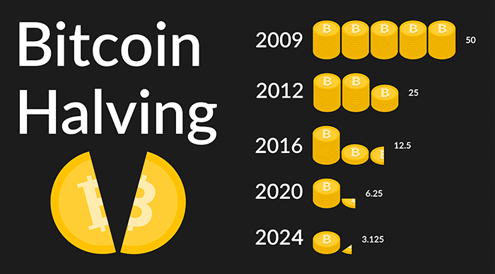 bitcoin bull