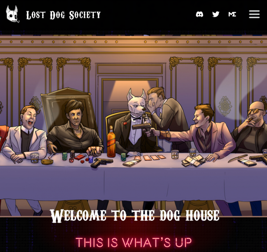 lost dog society website