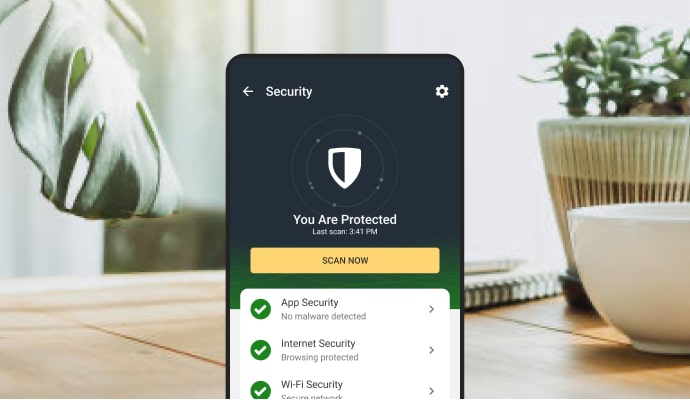 Norton antivirus for spyware removal