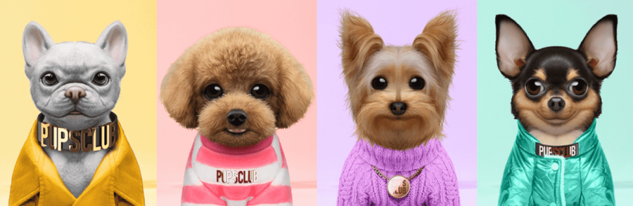 Pups Club NFTs