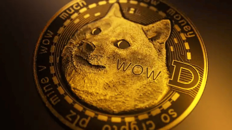 Dogecoin Bull Run