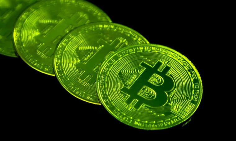 eco crypto