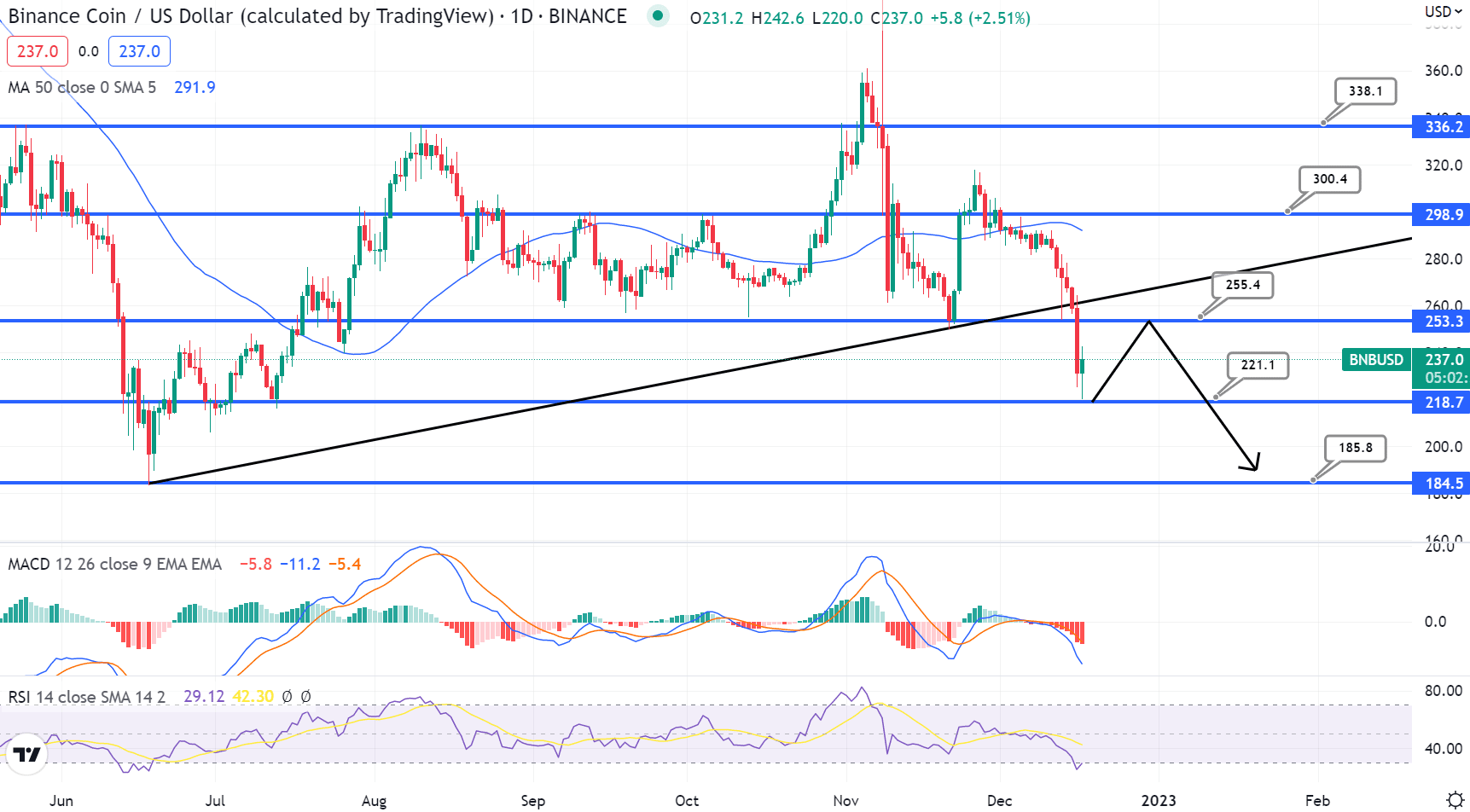 BNB Chart