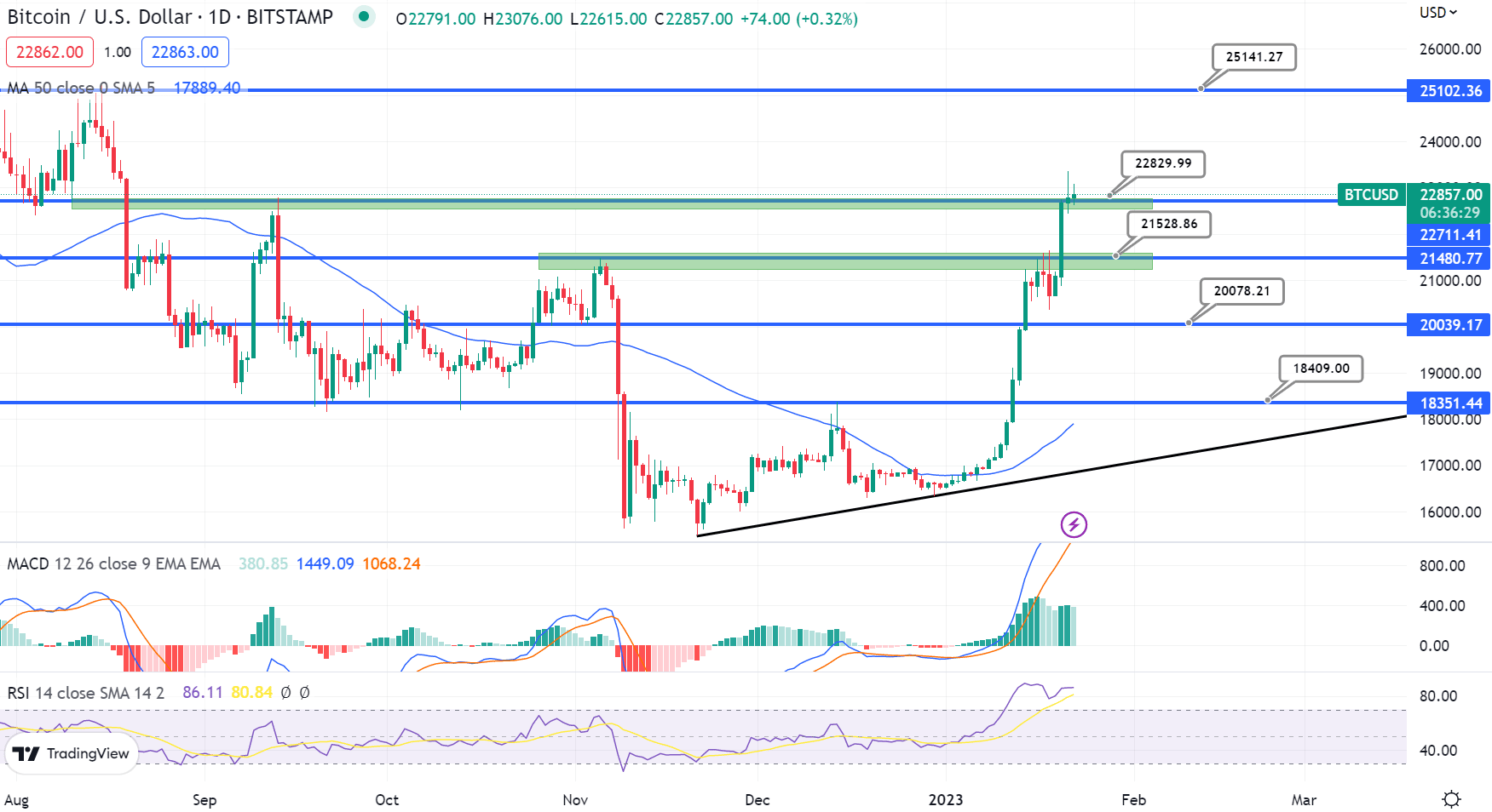 Bitcoin Price Chart