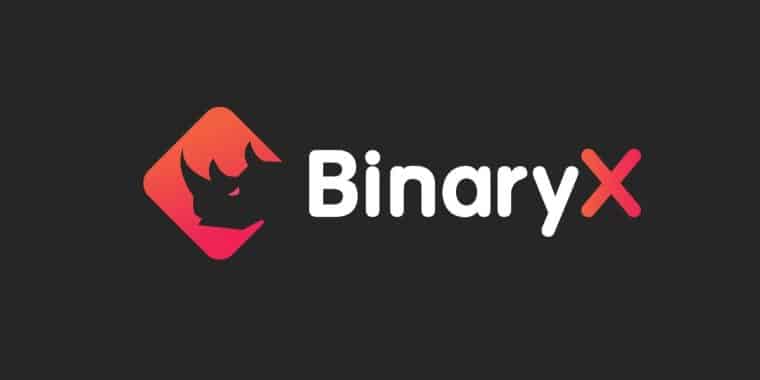 BinaryX