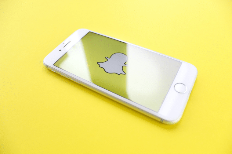 snap earnings