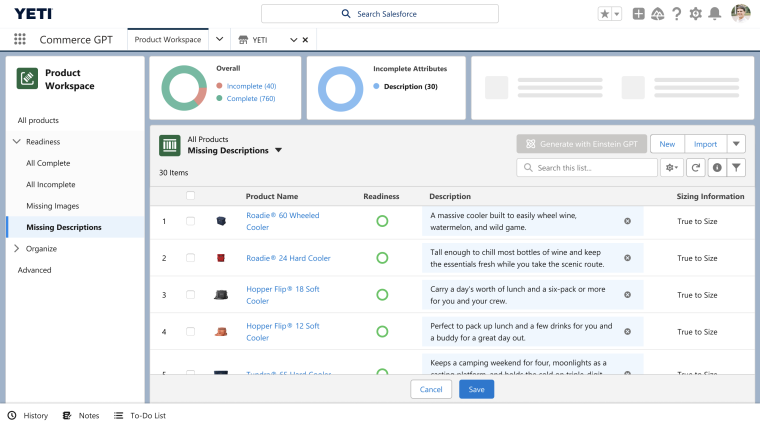 salesforce launches cloud AI
