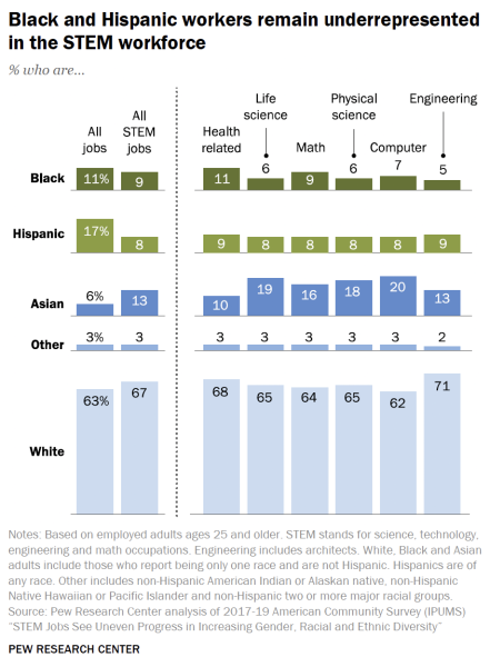 race gaps in stem