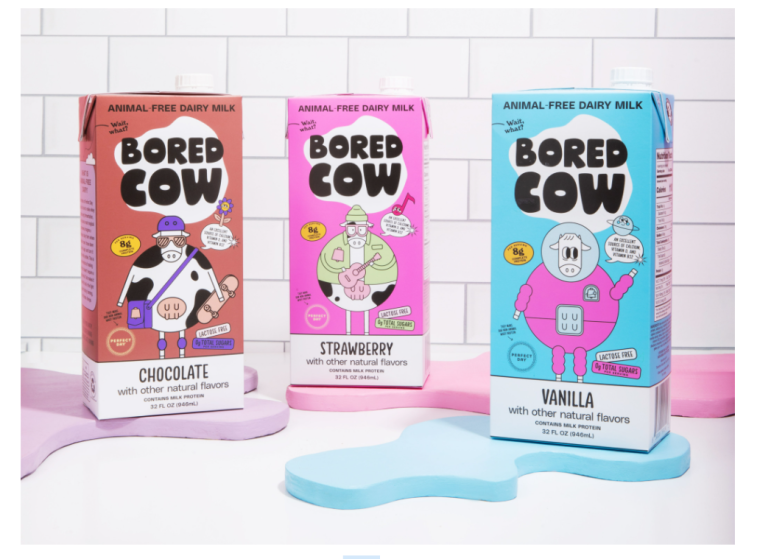 Bored cow mascot variation