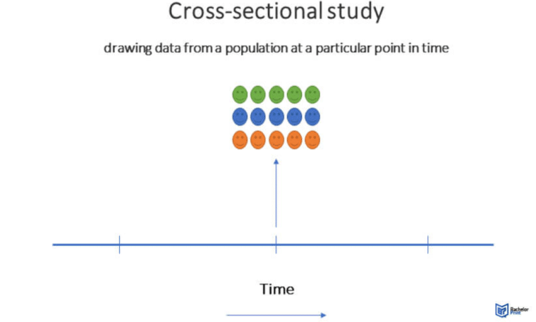 cross sectional study